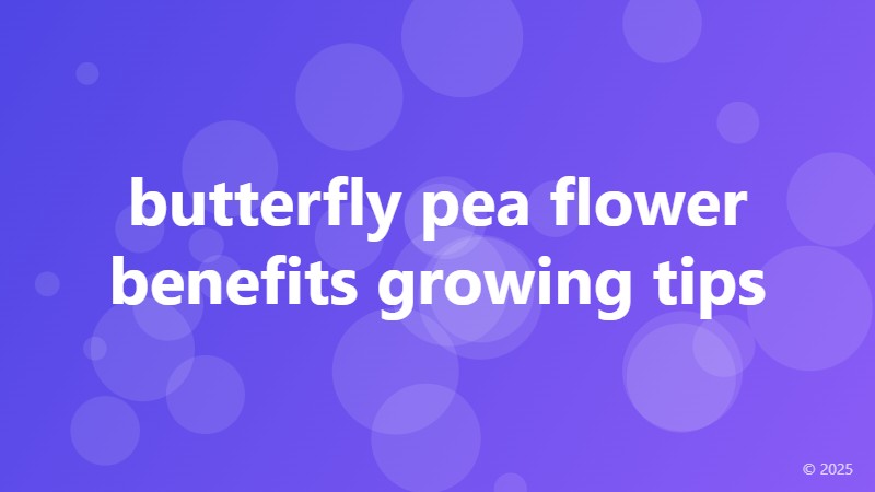 butterfly pea flower benefits growing tips