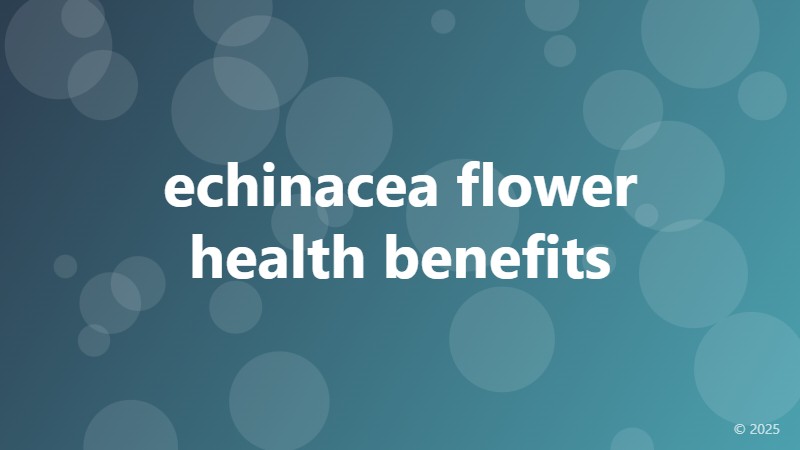 echinacea flower health benefits