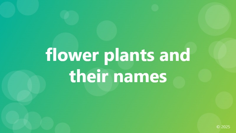 flower plants and their names