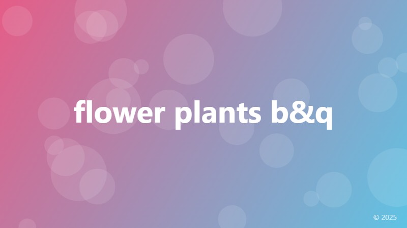 flower plants b&q