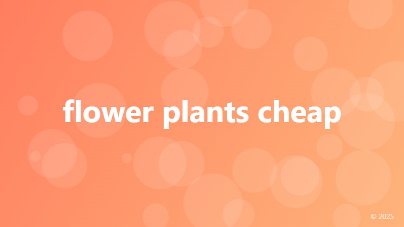 flower plants cheap