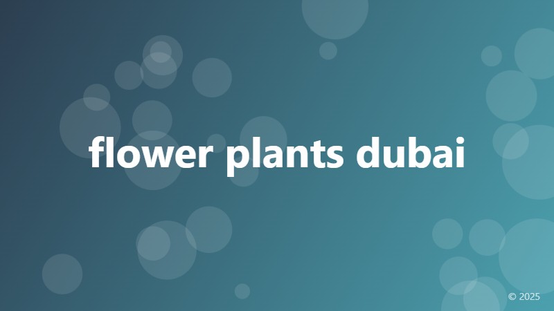 flower plants dubai