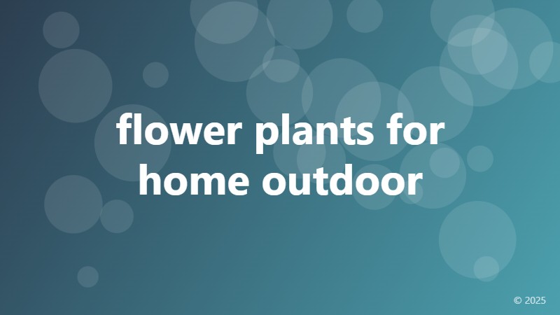 flower plants for home outdoor