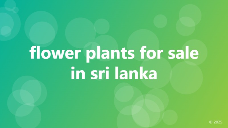 flower plants for sale in sri lanka