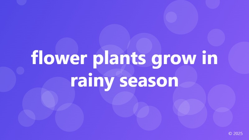 flower plants grow in rainy season