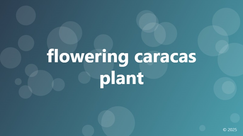 flowering caracas plant