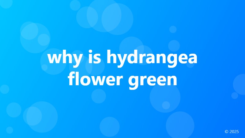 why is hydrangea flower green